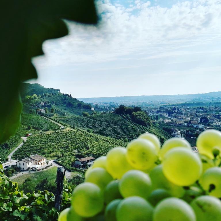 Agriturismo Al Credazzo Фарра-ди-Солиго Экстерьер фото